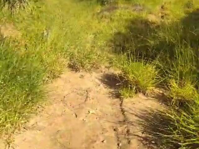 #3136 - Chácara para Venda em Itapuranga - GO