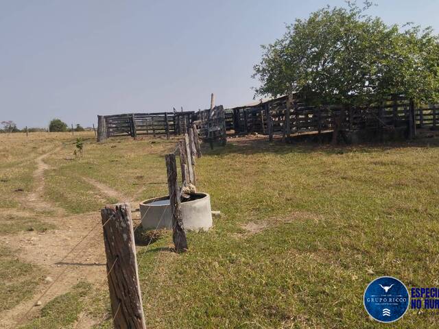 #3141 - Sítio para Venda em Morro Agudo de Goiás - GO