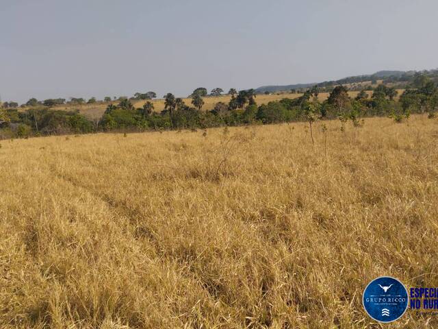 Venda em ZONA RURAL - Morro Agudo de Goiás