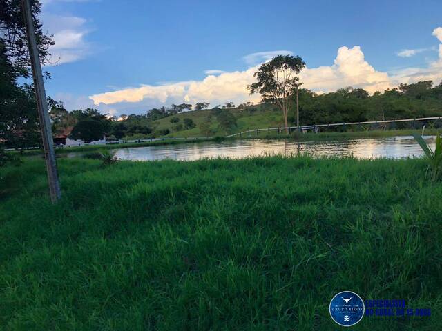 #3145 - Chácara para Venda em Jaraguá - GO