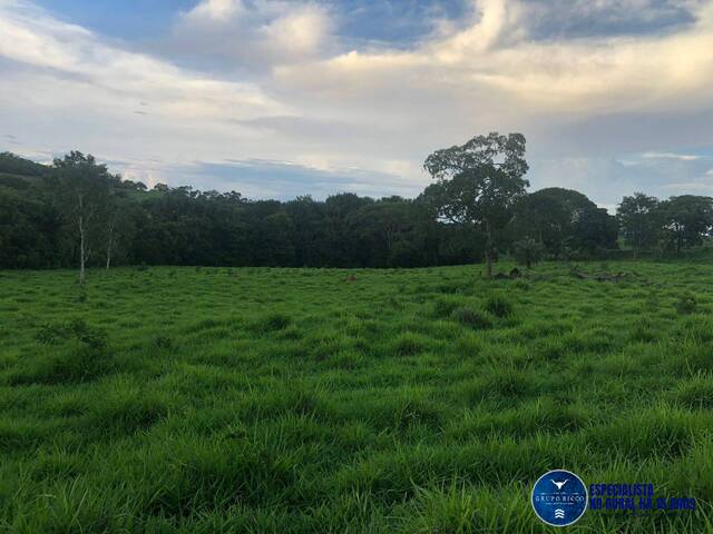 Chácara para Venda em Jaraguá - 4