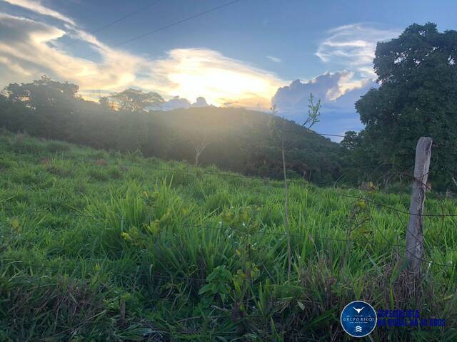 Chácara para Venda em Jaraguá - 5