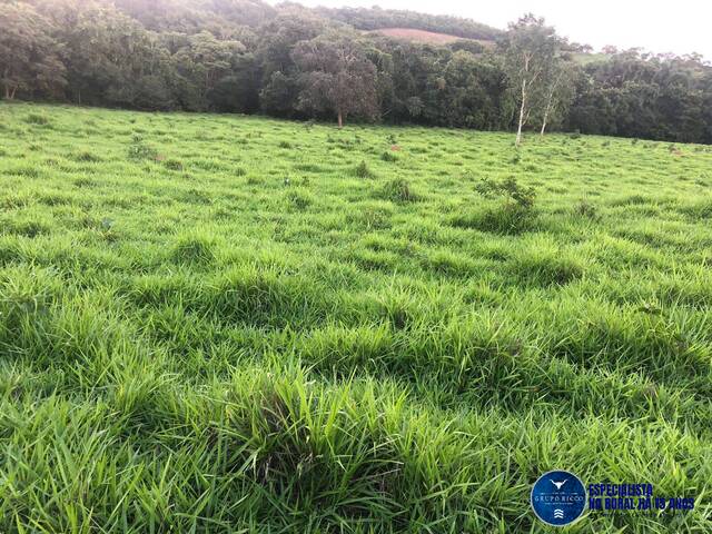 Venda em zona rural - Jaraguá