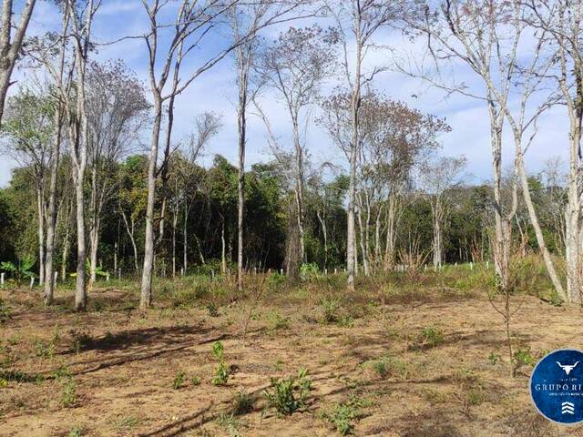 #3147 - Fazenda para Venda em Mairipotaba - GO