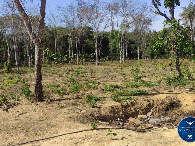 #3147 - Fazenda para Venda em Mairipotaba - GO