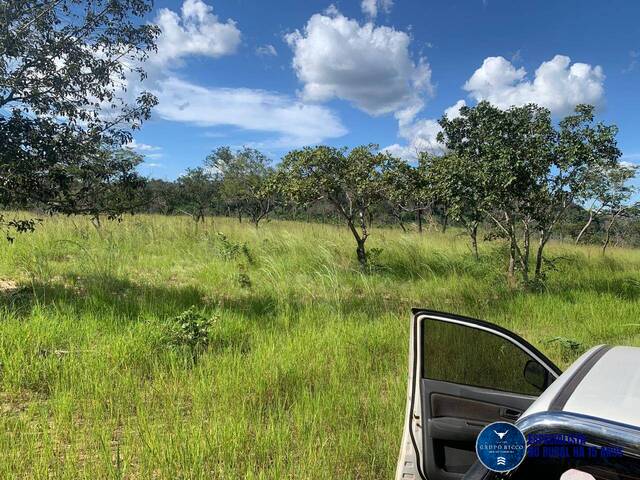 #3149 - Fazenda para Venda em Recursolândia - TO