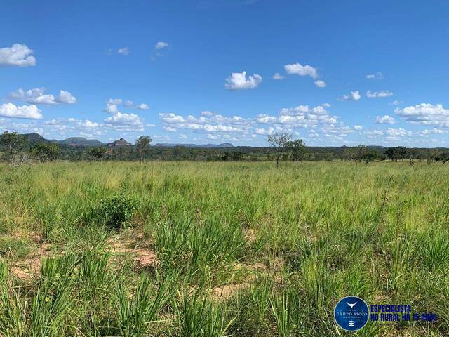 #3149 - Fazenda para Venda em Recursolândia - TO
