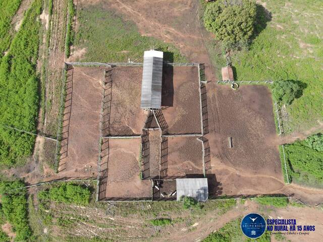 #3150 - Fazenda para Venda em Peixe - TO