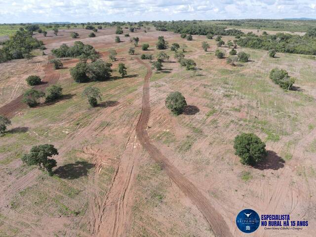 #3150 - Fazenda para Venda em Peixe - TO
