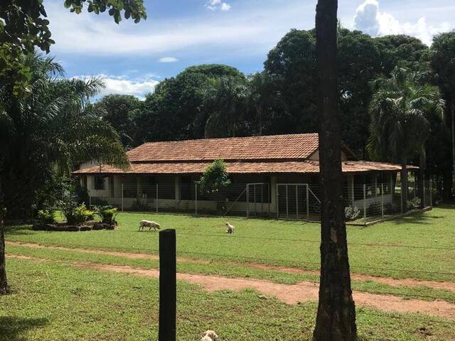 #3151 - Fazenda para Venda em Peixe - TO