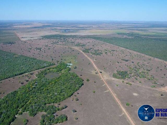 #3151 - Fazenda para Venda em Peixe - TO