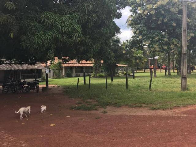 #3151 - Fazenda para Venda em Peixe - TO