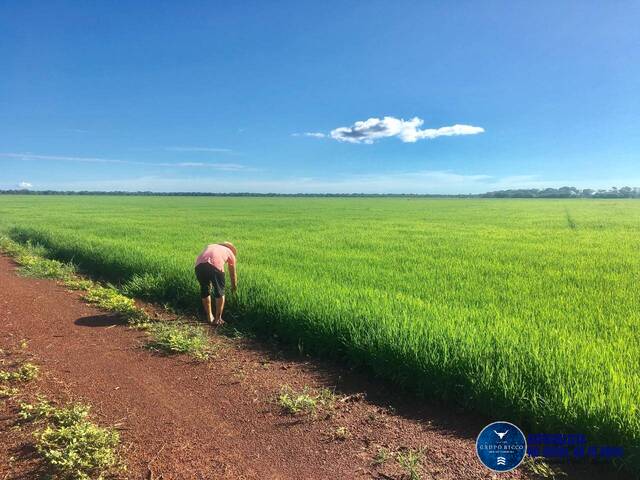 #3152 - Fazenda para Venda em Lagoa da Confusão - TO
