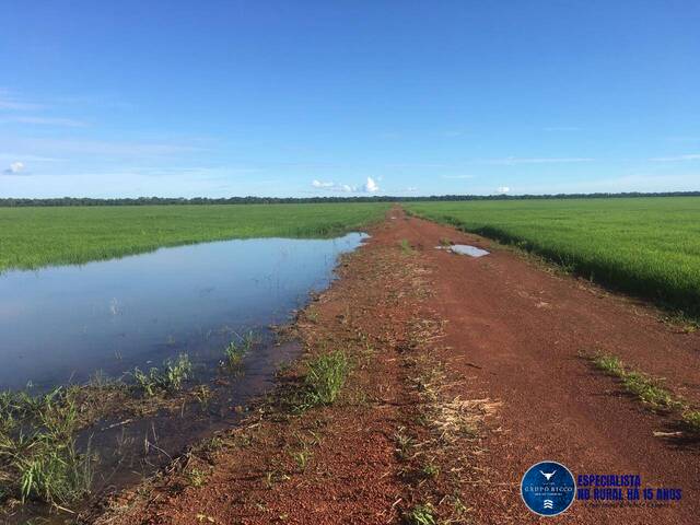 Venda em zona rural - Lagoa da Confusão