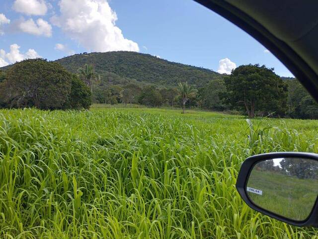 #3153 - Fazenda para Venda em Gurupi - TO