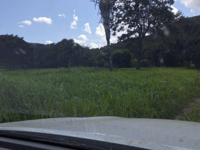 #3153 - Fazenda para Venda em Gurupi - TO