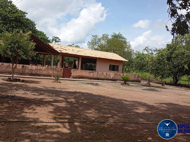#3159 - Fazenda para Venda em Cristalândia - TO