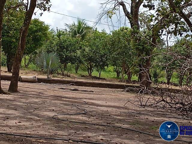 #3159 - Fazenda para Venda em Cristalândia - TO