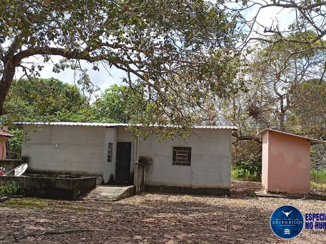 #3159 - Fazenda para Venda em Cristalândia - TO