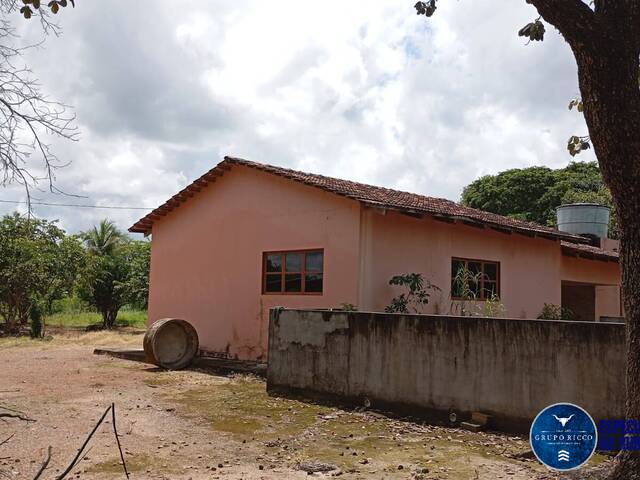 Fazenda para Venda em Cristalândia - 4