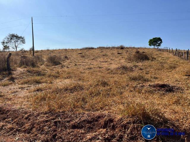 Chácara para Venda em Taquaral de Goiás - 4