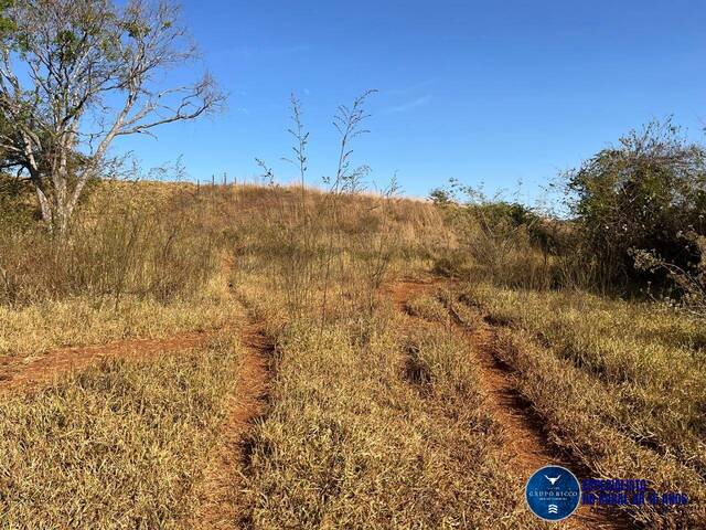 #3160 - Chácara para Venda em Taquaral de Goiás - GO