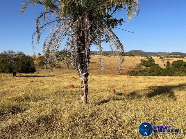 Venda em zona rural - Taquaral de Goiás