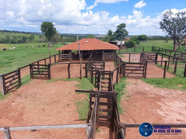 #3165 - Fazenda para Venda em Jataí - GO