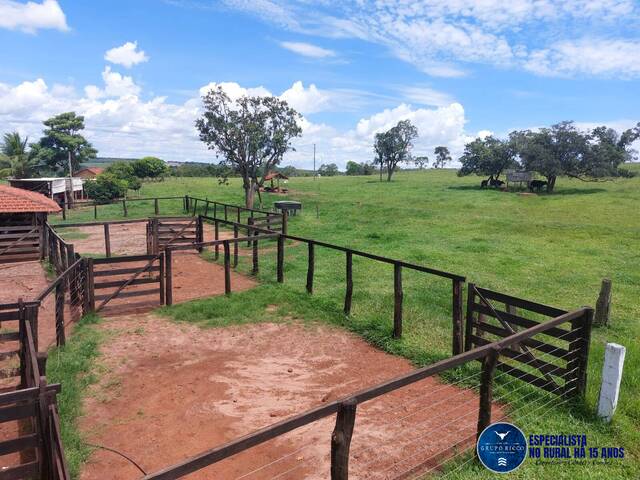 #3165 - Fazenda para Venda em Jataí - GO
