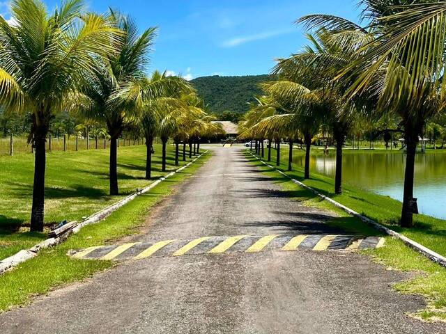 Fazenda para Venda em Minaçu - 4