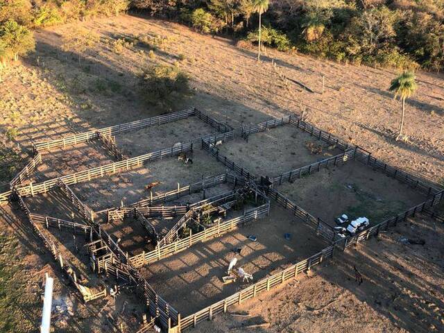 #3168 - Fazenda para Venda em Formosa - GO