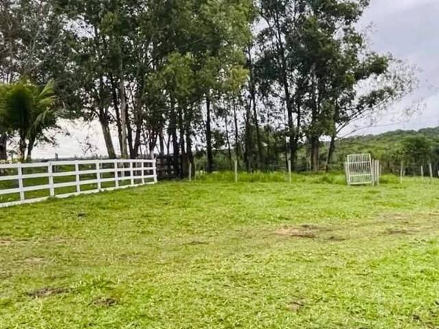 #3169 - Chácara para Venda em Bela Vista de Goiás - GO