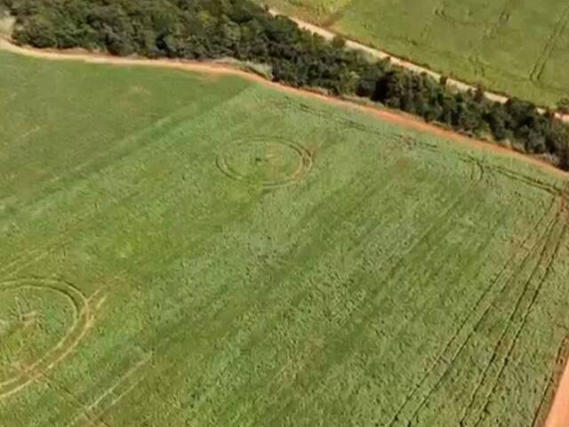 #3171 - Fazenda para Venda em Ipameri - GO