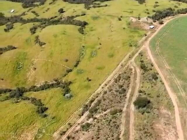 #3171 - Fazenda para Venda em Ipameri - GO
