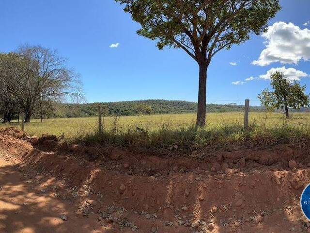 Chácara para Venda em Pirenópolis - 4