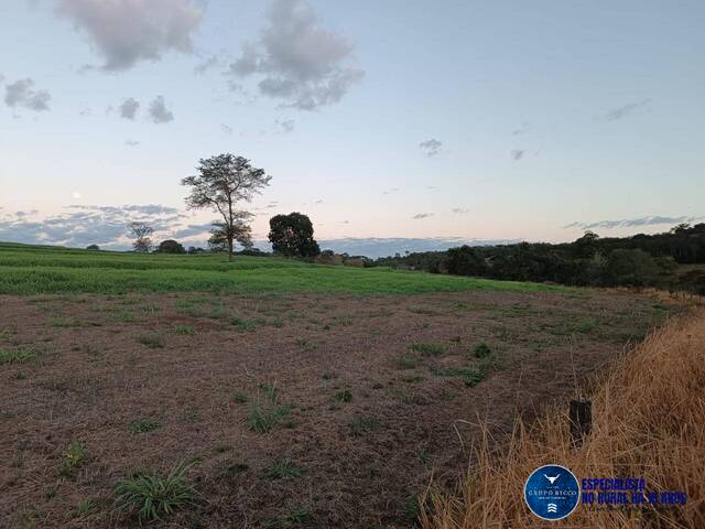 Sítio para Venda em Itaguaru - 5