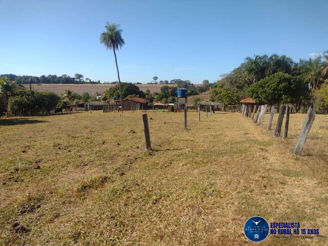 #3180 - Sítio para Venda em Santa Rosa de Goiás - GO