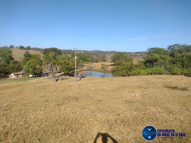 #3180 - Sítio para Venda em Santa Rosa de Goiás - GO