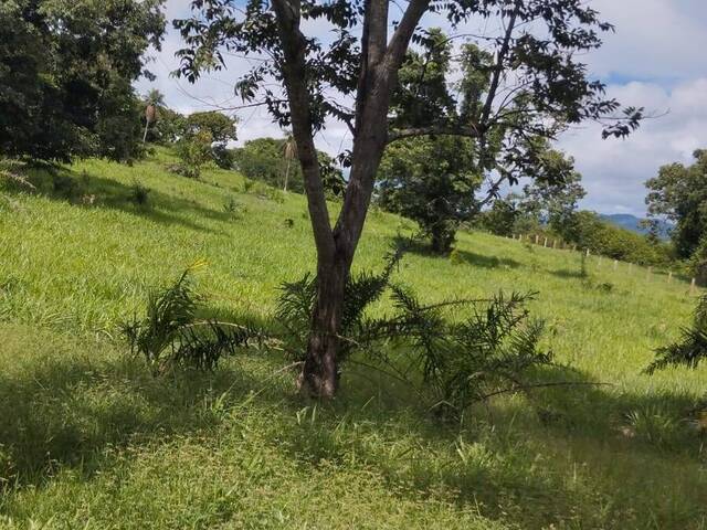 #3187 - Fazenda para Venda em Morro Agudo de Goiás - GO