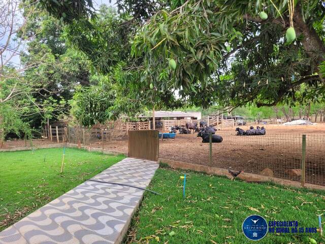 #3191 - Chácara para Venda em Petrolina de Goiás - GO