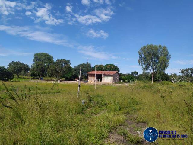 #3198 - Fazenda para Venda em Paranã - TO