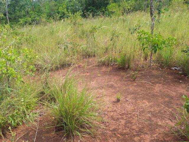 #3198 - Fazenda para Venda em Paranã - TO