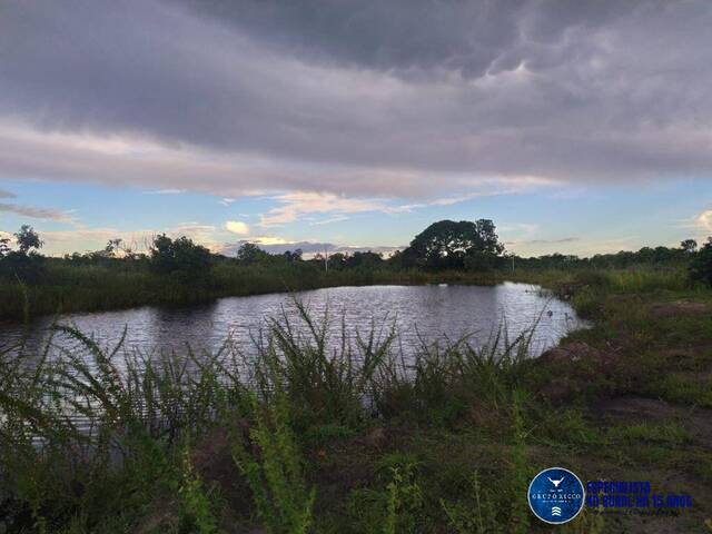 Fazenda para Venda em Paranã - 5