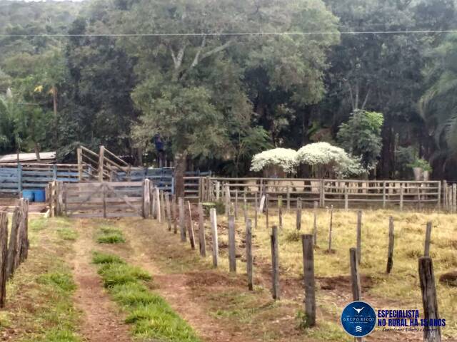 #3199 - Chácara para Venda em Piracanjuba - GO