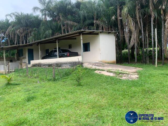 Chácara para Venda em Piracanjuba - 4