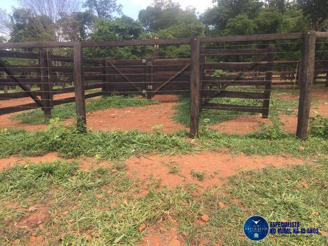 #3200 - Sítio para Venda em Petrolina de Goiás - GO