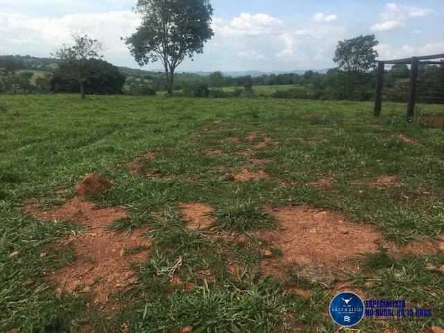 Sítio para Venda em Petrolina de Goiás - 5