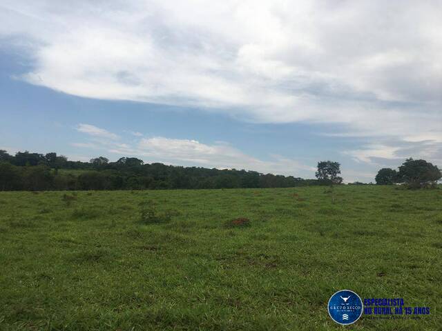 #3200 - Sítio para Venda em Petrolina de Goiás - GO