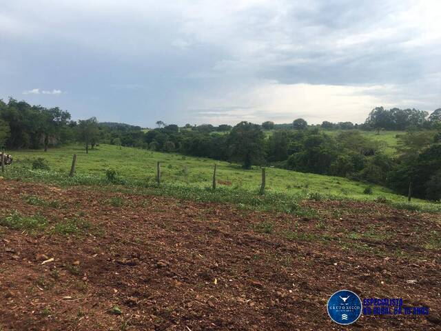 Sítio para Venda em Petrolina de Goiás - 4