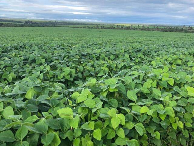 #3202 - Fazenda para Venda em Jataí - GO